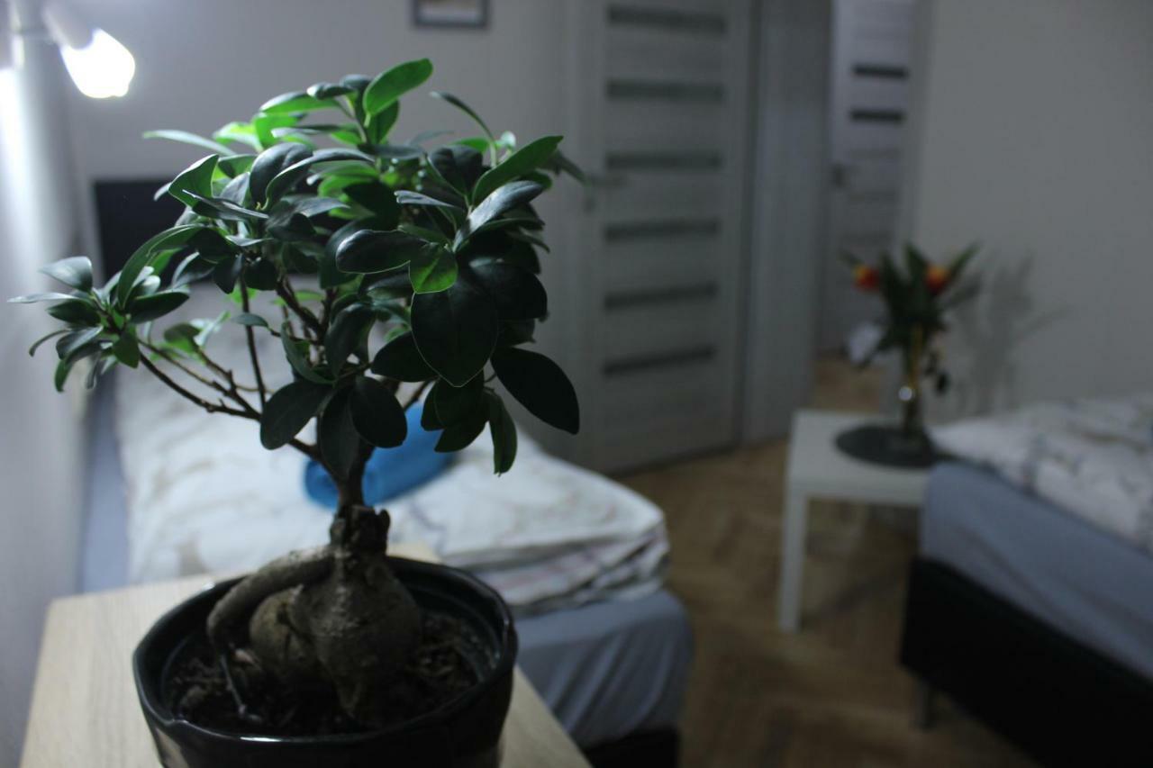 Kotlarska Apartment Wroclaw Luaran gambar